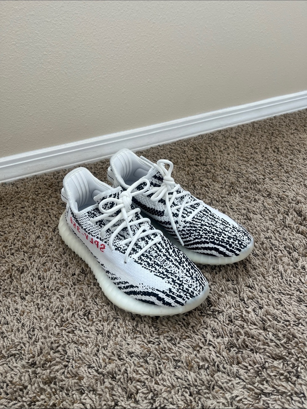 Zebra Yeezy